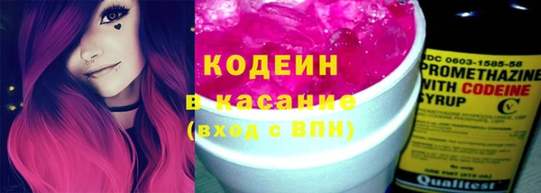 индика Балабаново