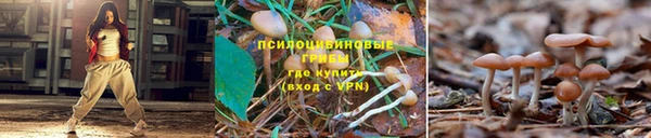 мескалин Баксан