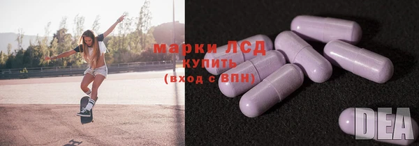 прущие грибы Пересвет