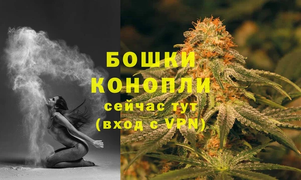 прущие грибы Пересвет