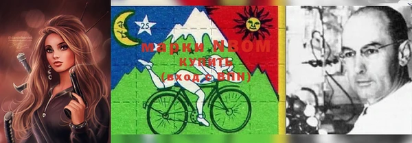 индика Балабаново