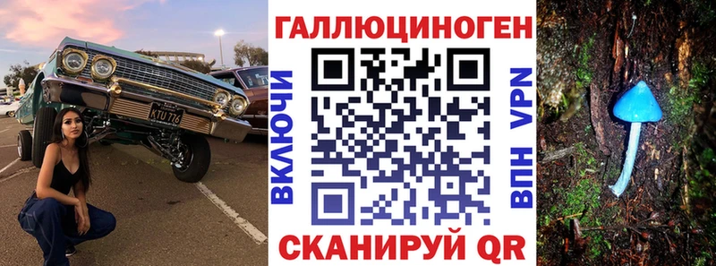 Псилоцибиновые грибы Psilocybine cubensis  hydra ссылка  Советский 